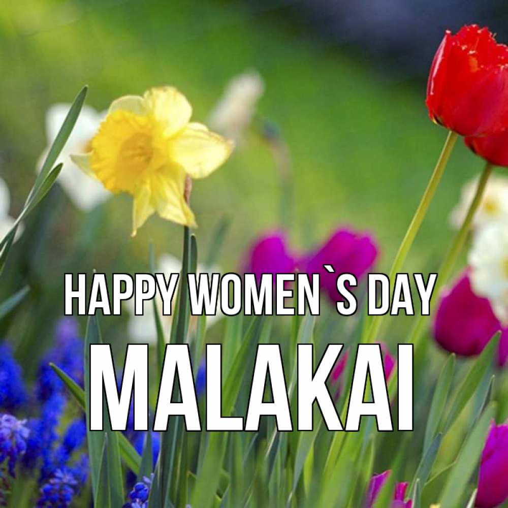 Greetings card с именем, Malakai happy women`s day международный женский день 3 Greetings with text for free download 
